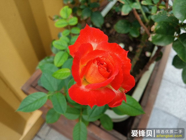 DSC00012.jpg