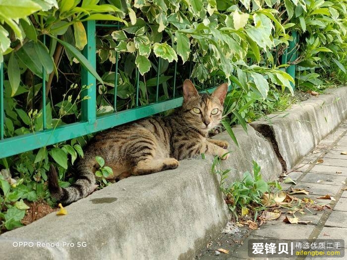 DSC00025.jpg