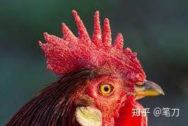 医生是不是有一些“黑话”？-1.jpg