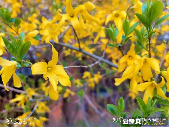 麒麟820加持，加速5G手机普及，荣耀30S首发评测-31.jpg