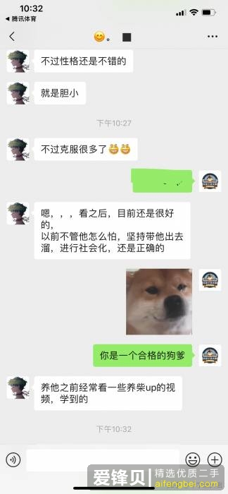 购买柴犬如何防骗？怎么样识别黑心犬舍？-4.jpg