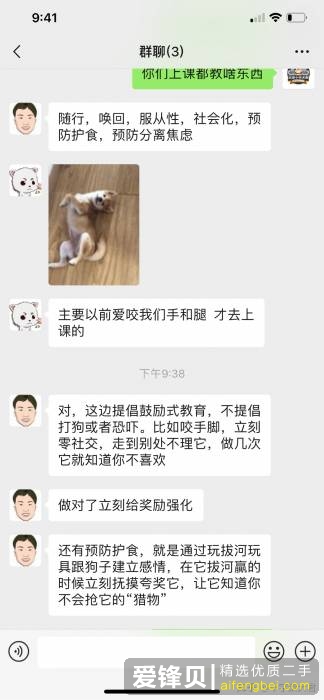 购买柴犬如何防骗？怎么样识别黑心犬舍？-12.jpg