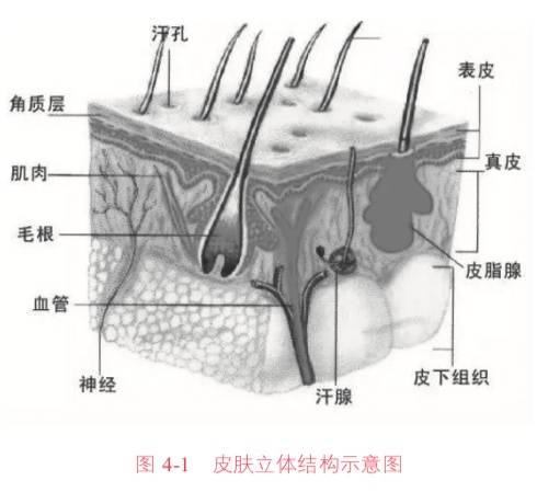 二十岁经济能力有限的女生怎样护肤和化妆？-1.jpg