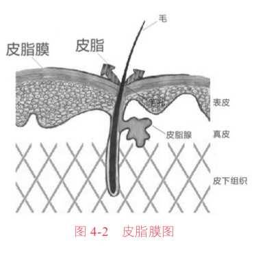 二十岁经济能力有限的女生怎样护肤和化妆？-2.jpg