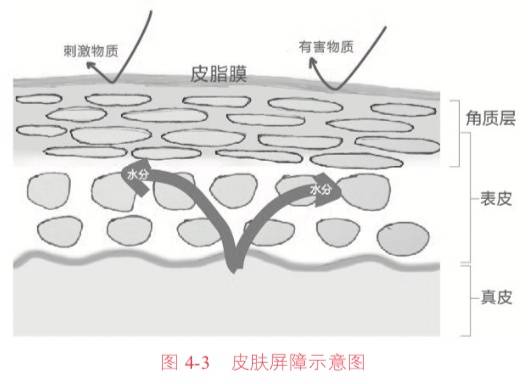 二十岁经济能力有限的女生怎样护肤和化妆？-3.jpg