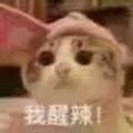 在闲鱼上怎么挣钱？-6.jpg