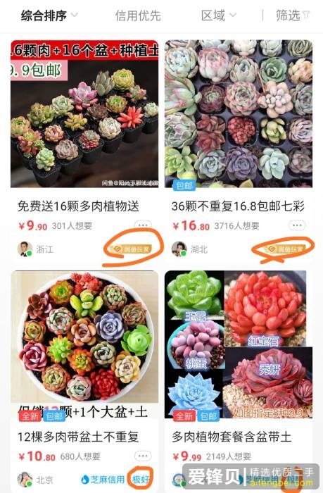在闲鱼上怎么挣钱？-9.jpg