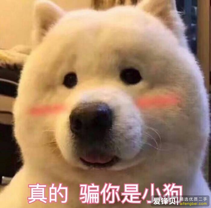 在闲鱼上怎么挣钱？-19.jpg