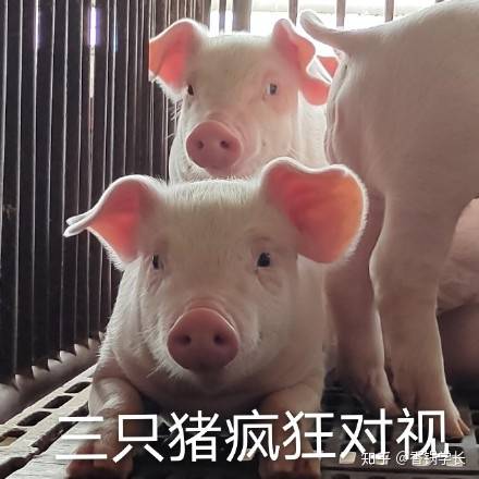 在闲鱼上怎么挣钱？-15.jpg