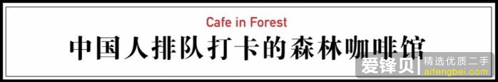 他是别人眼里的废柴，曾被退学7次，却在34岁赚够了一辈子的钱-4.jpg