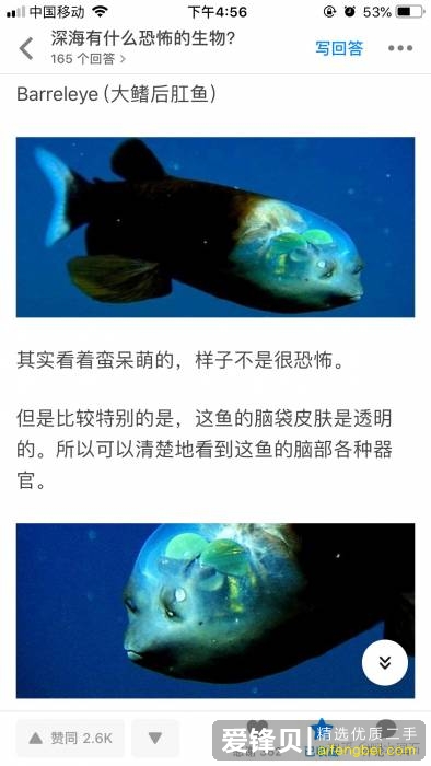 为什么会有深湖比深海更可怕这种说法？-1.jpg