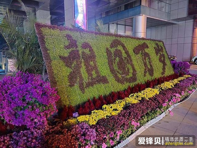 DSC00013.jpg