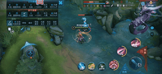 DSC0007.gif