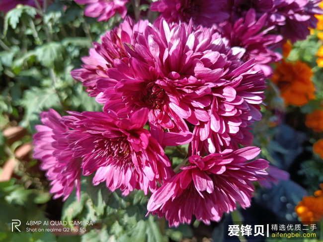 DSC00015.png