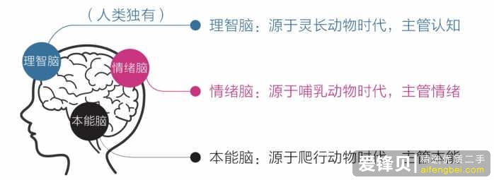 每天什么都不想做，只想躺着待着，刷手机，该怎么办?-1.jpg