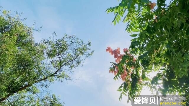 苹果11二手值得入手吗?-4.jpg