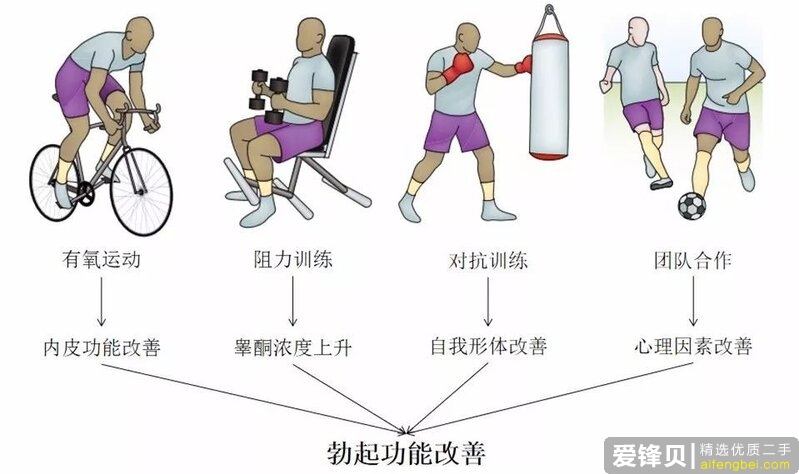 长期健身可以一定程度上提高性能力吗？-2.jpg