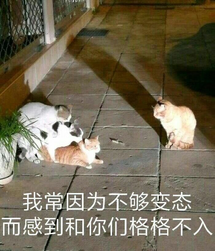 张有为同学卖手机 是不是骗子？-1.jpg