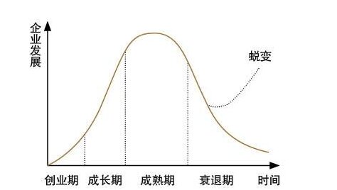 如何全面分析一支股票（6000字攻略）-10.jpg