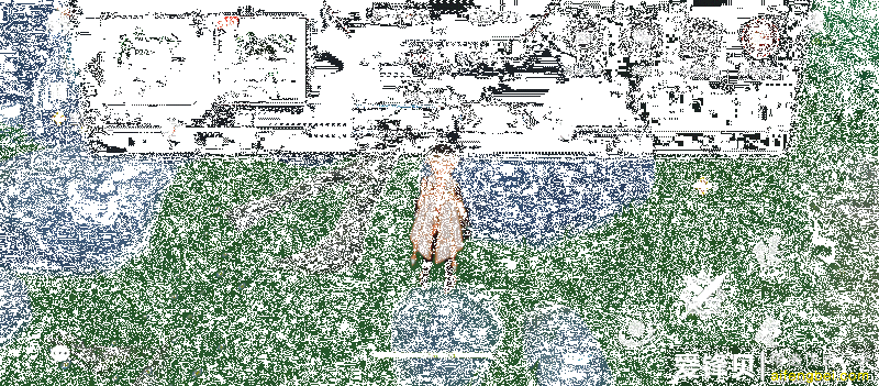 DSC00033.gif