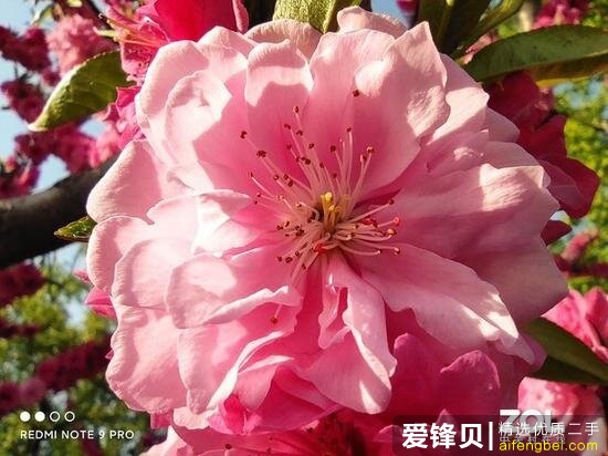 DSC00016.jpg