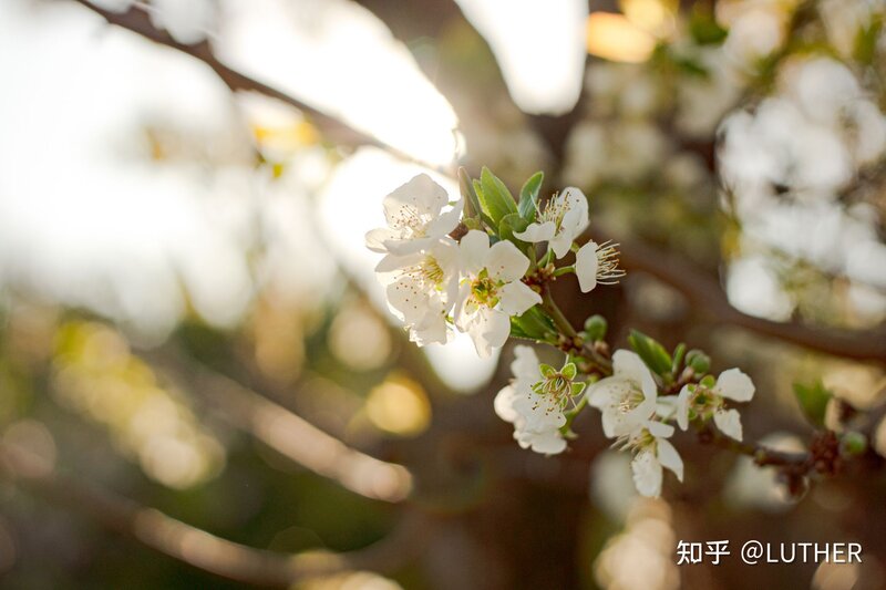 求专业人士！学生党想买一部二手相机拍照拍拍视频1500左右有相机推荐吗？-3.jpg