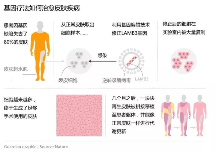 你所知道的最黑的黑科技是什么？-2.jpg