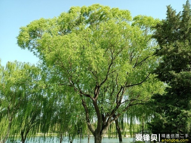 DSC00022.jpg