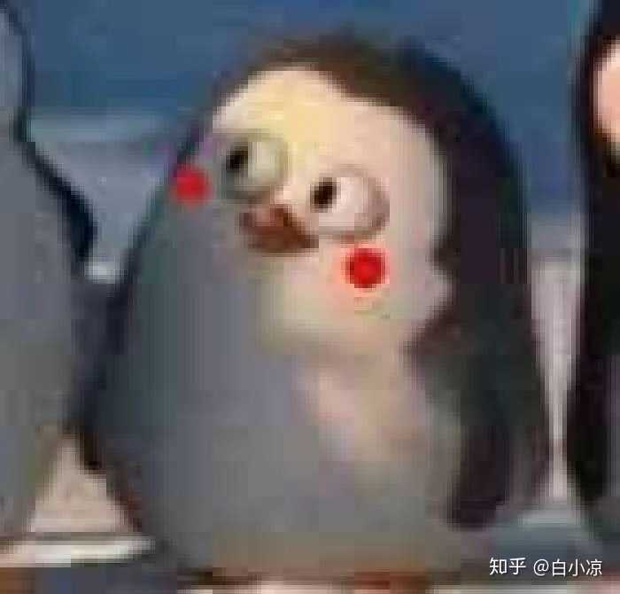 你们都有哪些被骗过的经历？-13.jpg