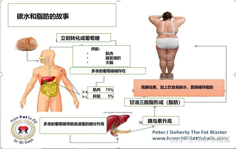 减脂期间正确的饮食结构是怎样的？具体怎么搭配？-4.jpg