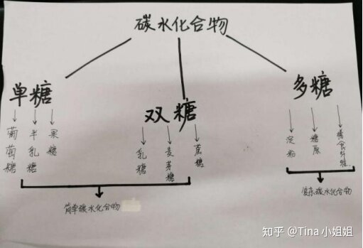 减脂期间正确的饮食结构是怎样的？具体怎么搭配？-3.jpg