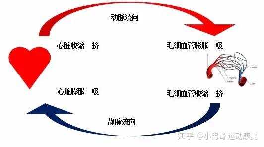 坚持每天跑步五公里，两年后会有什么变化？-1.jpg