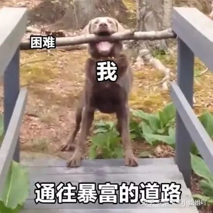 上班族朝九晚六有什么副业值得尝试？-1.jpg