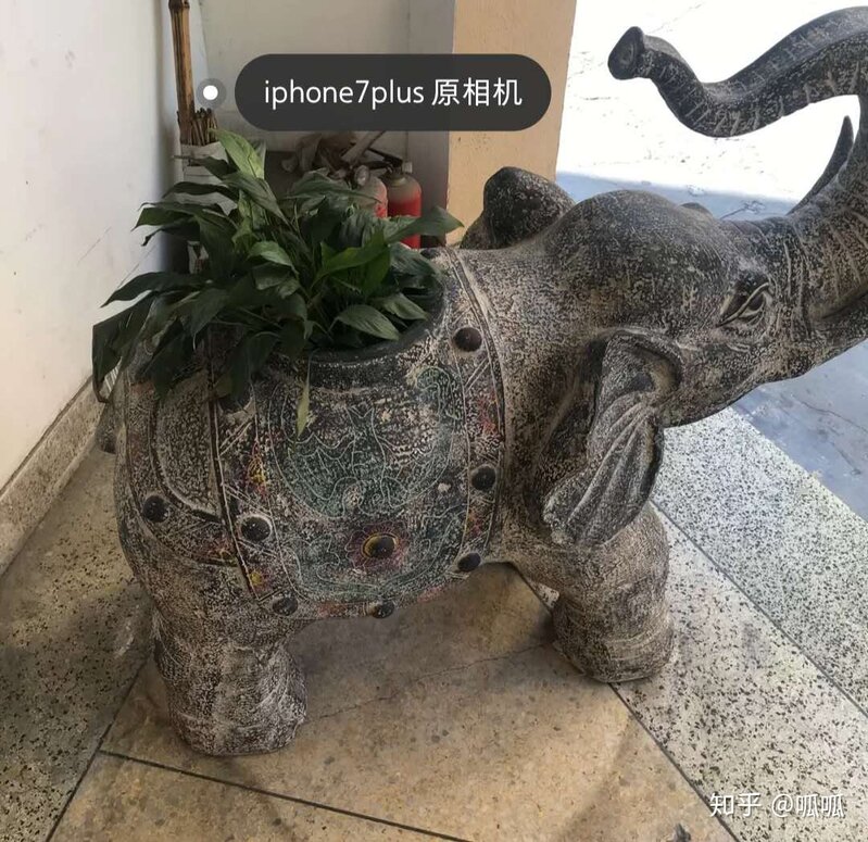 iPhone11与iPhone11pro有什么实质上的区别?-5.jpg