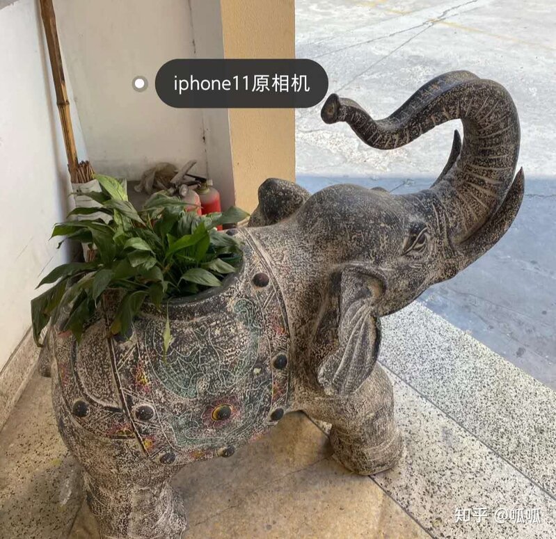 iPhone11与iPhone11pro有什么实质上的区别?-4.jpg