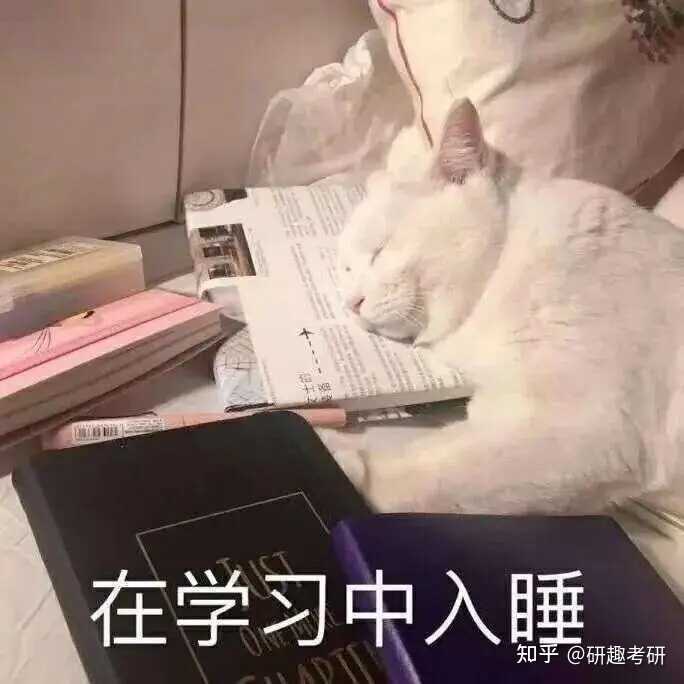 考研工具在备考中有多重要？一定要买 iPad 吗？-4.jpg