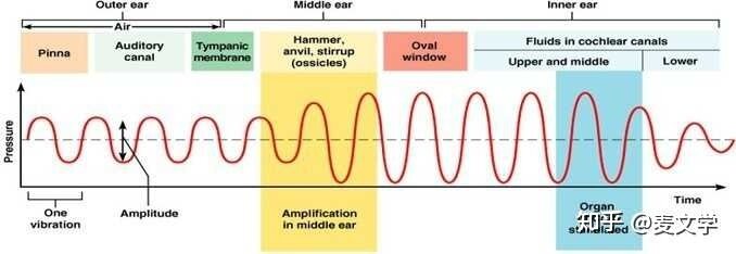 如何评价“circle of confusion”？-62.jpg