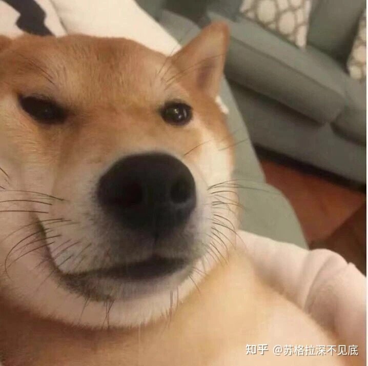 如何看待苹果发文《好家伙，iOS 15 新功能真是好家伙 ...-13.jpg