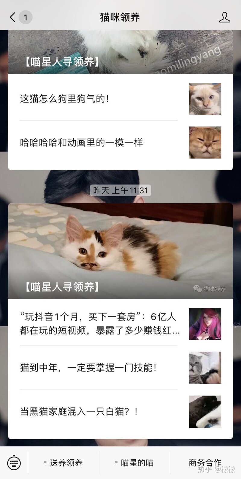 自己对猫过敏且家庭环境无法养猫，遇到一只小猫被粘鼠板 ...-1.jpg