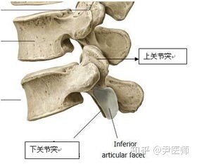 湖南的你，择偶的标准是怎样的？-2.jpg