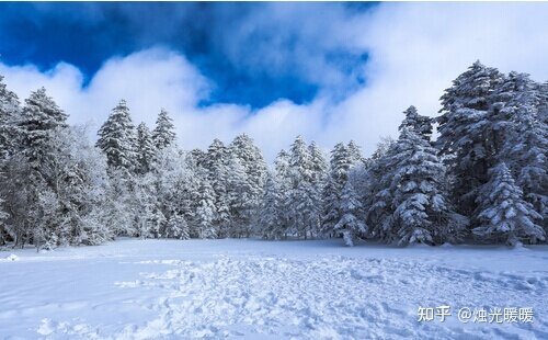 冬季旅行有哪些赏雪好去处推荐呢？-1.jpg