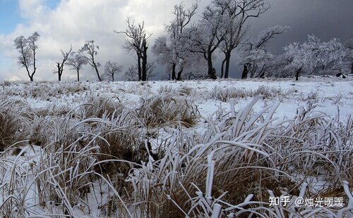 冬季旅行有哪些赏雪好去处推荐呢？-7.jpg