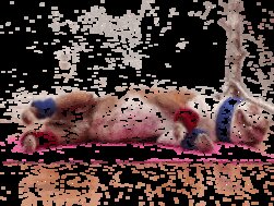 闲鱼公布 2021 年度十大无用商品，其中美容健身产品占据 ...-7.jpg