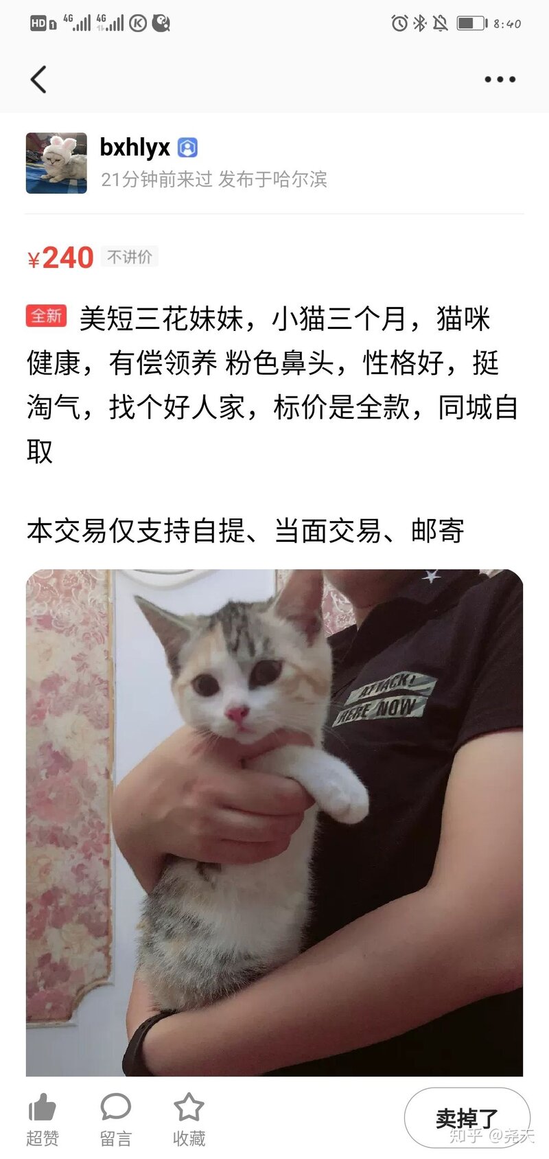 咸鱼买猫受骗经历贴-1.jpg