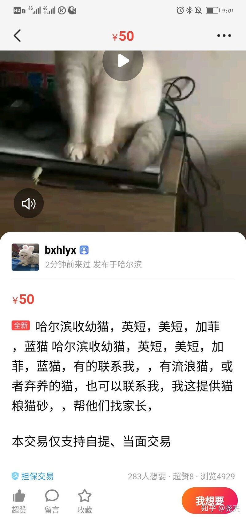 咸鱼买猫受骗经历贴-8.jpg