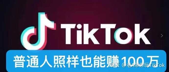 TikTok独立站运营带货怎么赚钱？-3.jpg