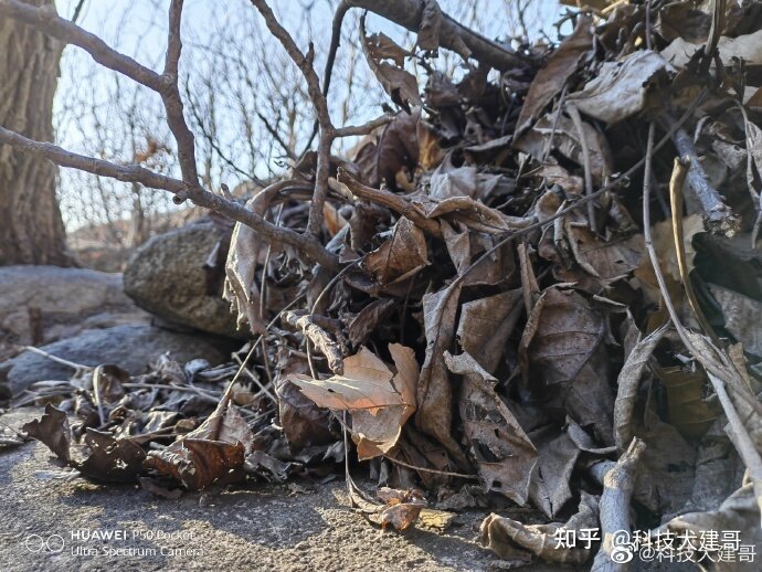 华为P50 Pocket评测：“宝盒”设计格外出彩 翻折之间尽显 ...-9.jpg