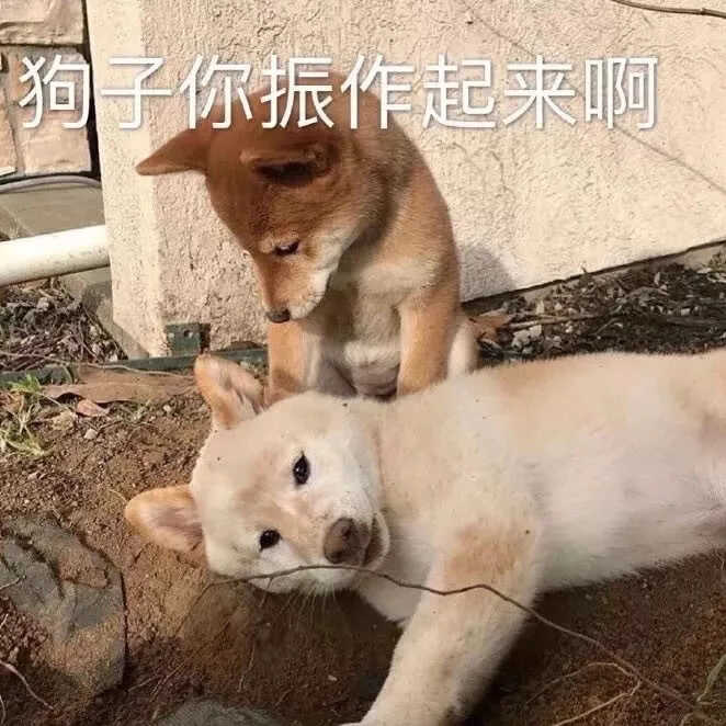 苹果手机玩游戏以前都是划两下切屏，现在为什么划一下直接 ...-1.jpg