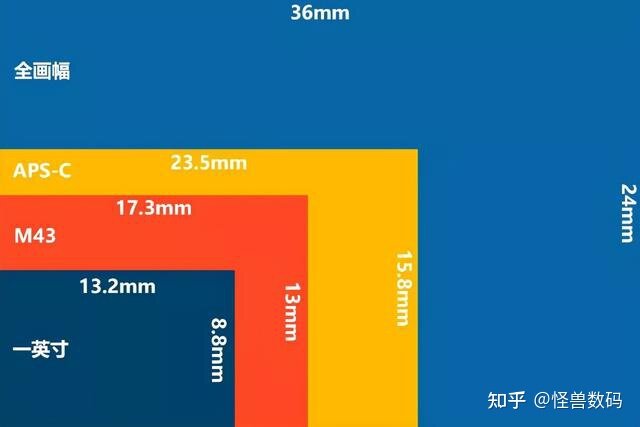 相机拍照和手机拍照究竟有何区别？一文带你了解清楚！-4.jpg