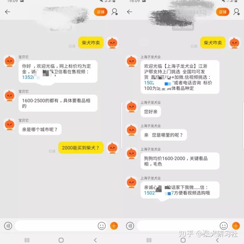 新手必看丨买狗常见的骗术大揭秘-3.jpg